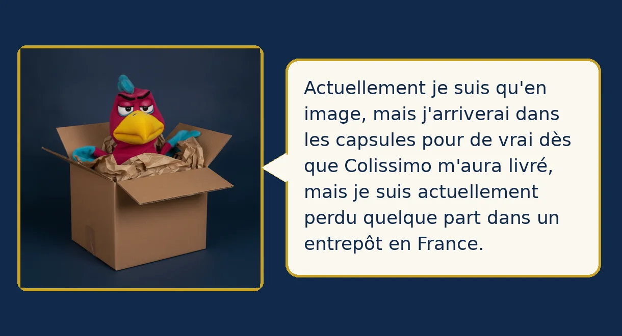 Merlin, du haut de son perchoir : Actuellement je suis qu'en image, mais j'arriverai dans les capsules pour de vrai dès que Colissimo m'aura livré, mais je suis actuellement perdu quelque part dans un entrepôt en France.